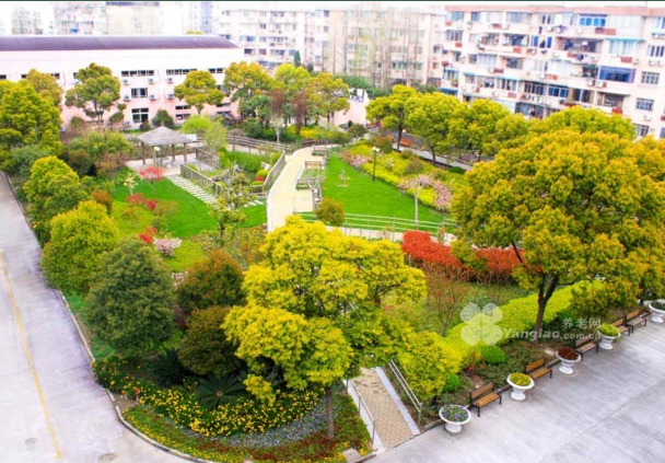 学校及养老院绿化施工